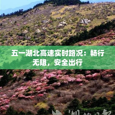 五一湖北高速实时路况：畅行无阻，安全出行