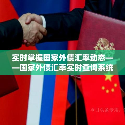 实时掌握国家外债汇率动态——国家外债汇率实时查询系统解析