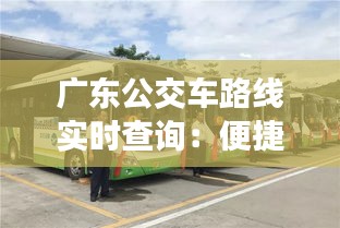 广东公交车路线实时查询：便捷出行，智慧交通新体验