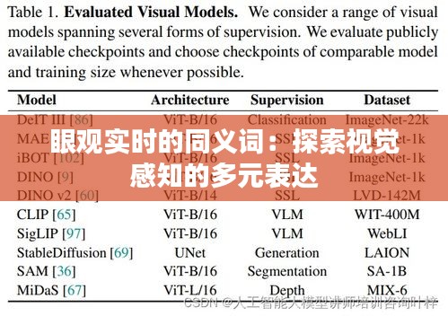 眼观实时的同义词：探索视觉感知的多元表达