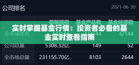实时掌握基金行情：投资者必备的基金实时查看指南
