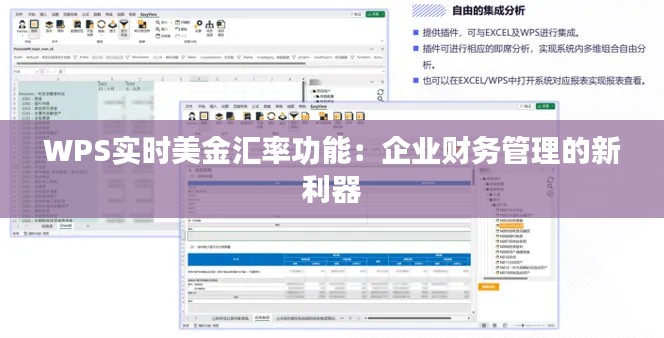 WPS实时美金汇率功能：企业财务管理的新利器