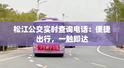 松江公交实时查询电话：便捷出行，一触即达