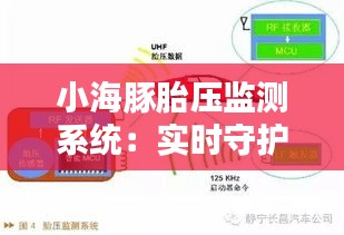 小海豚胎压监测系统：实时守护孕期安全