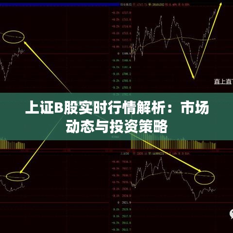 上证B股实时行情解析：市场动态与投资策略