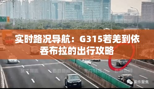 实时路况导航：G315若羌到依吞布拉的出行攻略