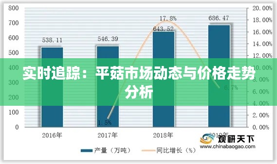 实时追踪：平菇市场动态与价格走势分析