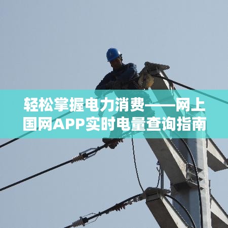 轻松掌握电力消费——网上国网APP实时电量查询指南