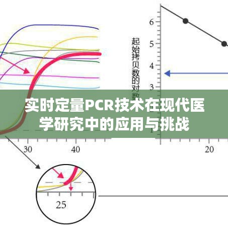 实时定量PCR技术在现代医学研究中的应用与挑战