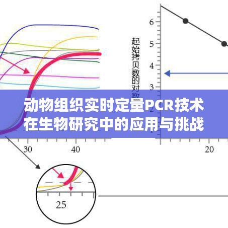 动物组织实时定量PCR技术在生物研究中的应用与挑战