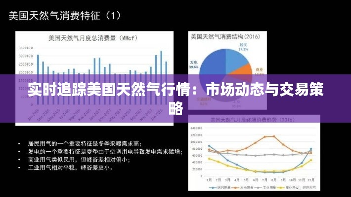 实时追踪美国天然气行情：市场动态与交易策略