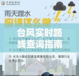 台风实时路线查询指南：掌握风雨动态，安全出行无忧