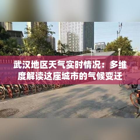 武汉地区天气实时情况：多维度解读这座城市的气候变迁