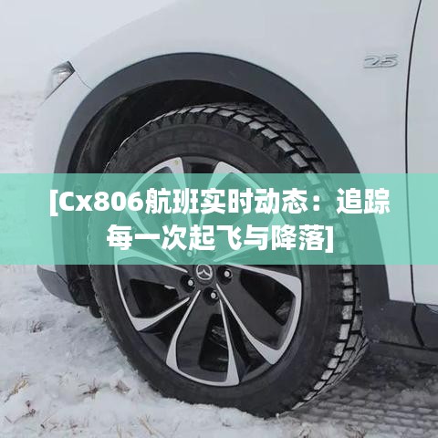 [Cx806航班实时动态：追踪每一次起飞与降落]