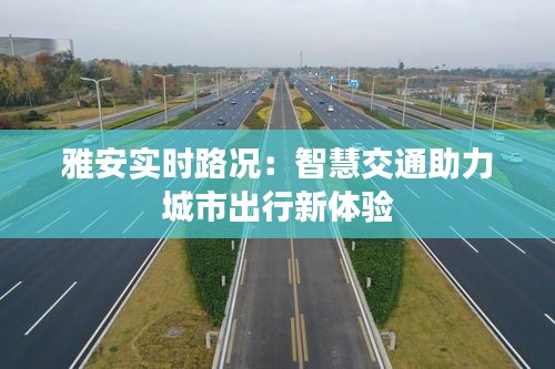 雅安实时路况：智慧交通助力城市出行新体验