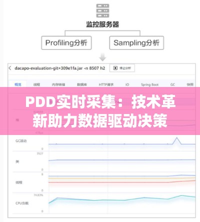 PDD实时采集：技术革新助力数据驱动决策