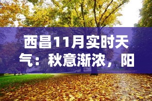 西昌11月实时天气：秋意渐浓，阳光与微风共舞