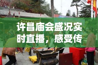 许昌庙会盛况实时直播，感受传统民俗的魅力