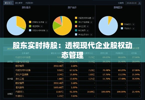 股东实时持股：透视现代企业股权动态管理