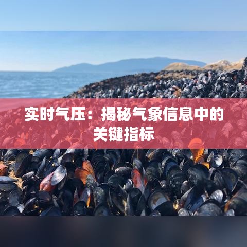 实时气压：揭秘气象信息中的关键指标