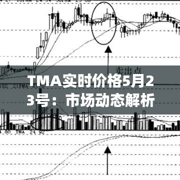 TMA实时价格5月23号：市场动态解析与投资策略