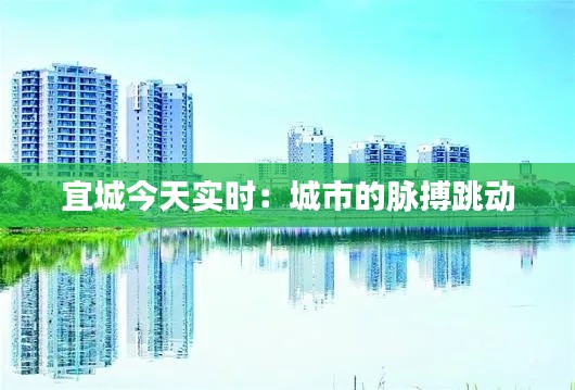 宜城今天实时：城市的脉搏跳动