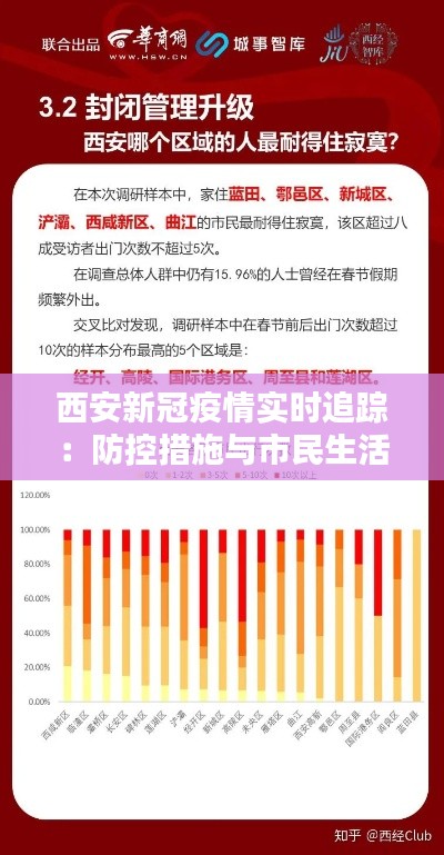 2024年12月31日 第8页