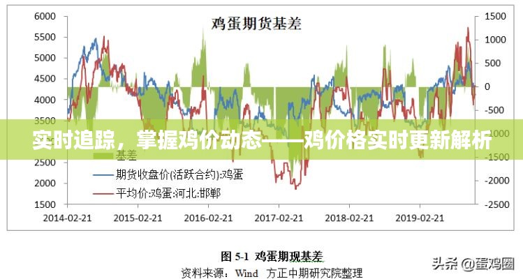 实时追踪，掌握鸡价动态——鸡价格实时更新解析