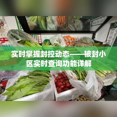 实时掌握封控动态——被封小区实时查询功能详解