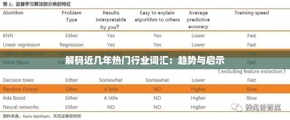 解码近几年热门行业词汇：趋势与启示