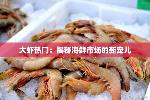 大虾热门：揭秘海鲜市场的新宠儿