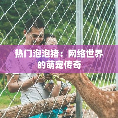 热门泡泡猪：网络世界的萌宠传奇