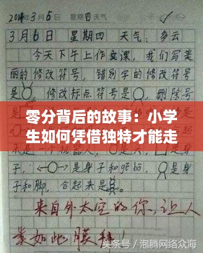 零分背后的故事：小学生如何凭借独特才能走红网络