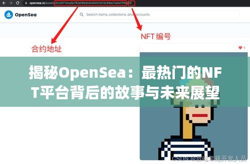 揭秘OpenSea：最热门的NFT平台背后的故事与未来展望