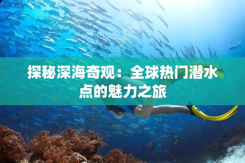 探秘深海奇观：全球热门潜水点的魅力之旅