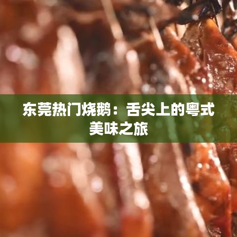 东莞热门烧鹅：舌尖上的粤式美味之旅