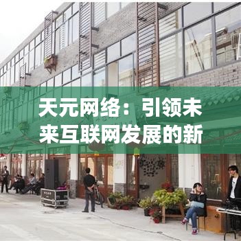 天元网络：引领未来互联网发展的新力量