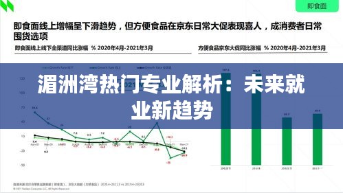 湄洲湾热门专业解析：未来就业新趋势