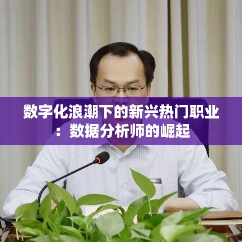 数字化浪潮下的新兴热门职业：数据分析师的崛起