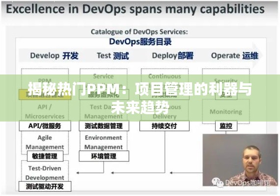 揭秘热门PPM：项目管理的利器与未来趋势