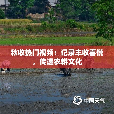 秋收热门视频：记录丰收喜悦，传递农耕文化