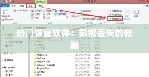 热门恢复软件：数据丢失的救星