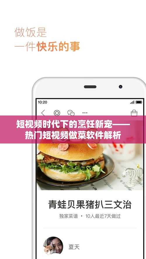 短视频时代下的烹饪新宠——热门短视频做菜软件解析