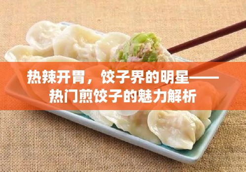 热辣开胃，饺子界的明星——热门煎饺子的魅力解析