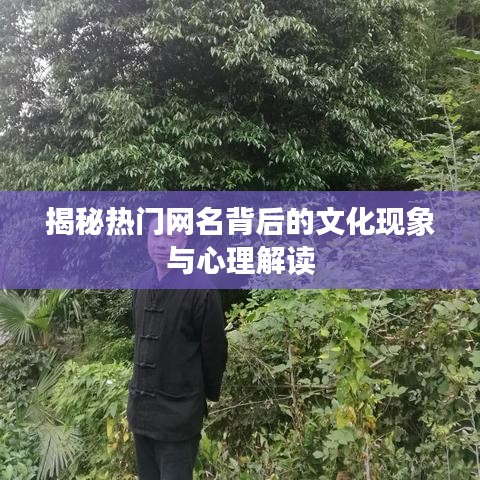 揭秘热门网名背后的文化现象与心理解读