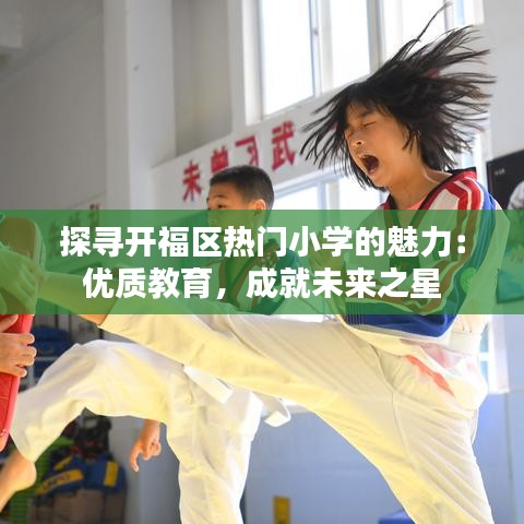 探寻开福区热门小学的魅力：优质教育，成就未来之星