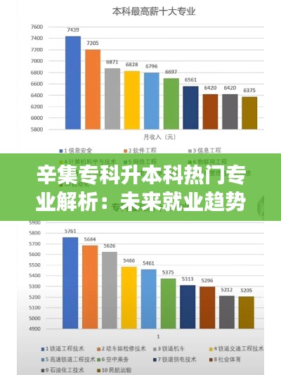 辛集专科升本科热门专业解析：未来就业趋势与专业选择指南