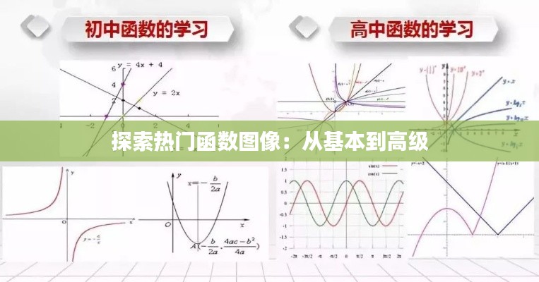 探索热门函数图像：从基本到高级