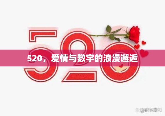 520，爱情与数字的浪漫邂逅