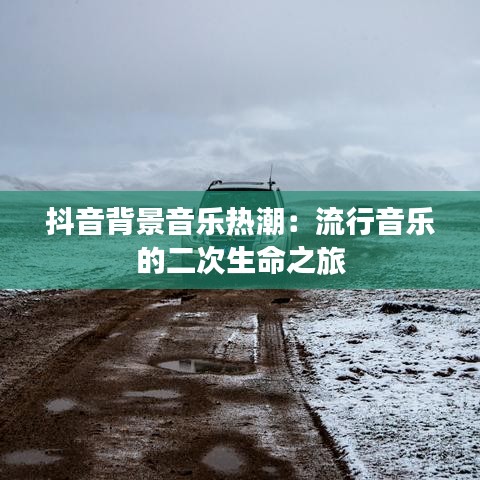 抖音背景音乐热潮：流行音乐的二次生命之旅